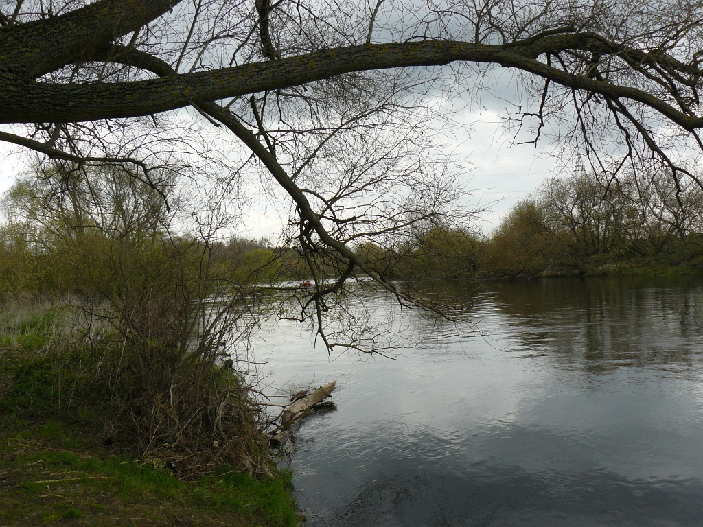 Blue Monday – smutny poniedziałek