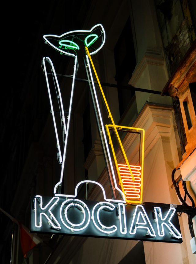 Legendarny neon kota - Kawiarnia Kociak