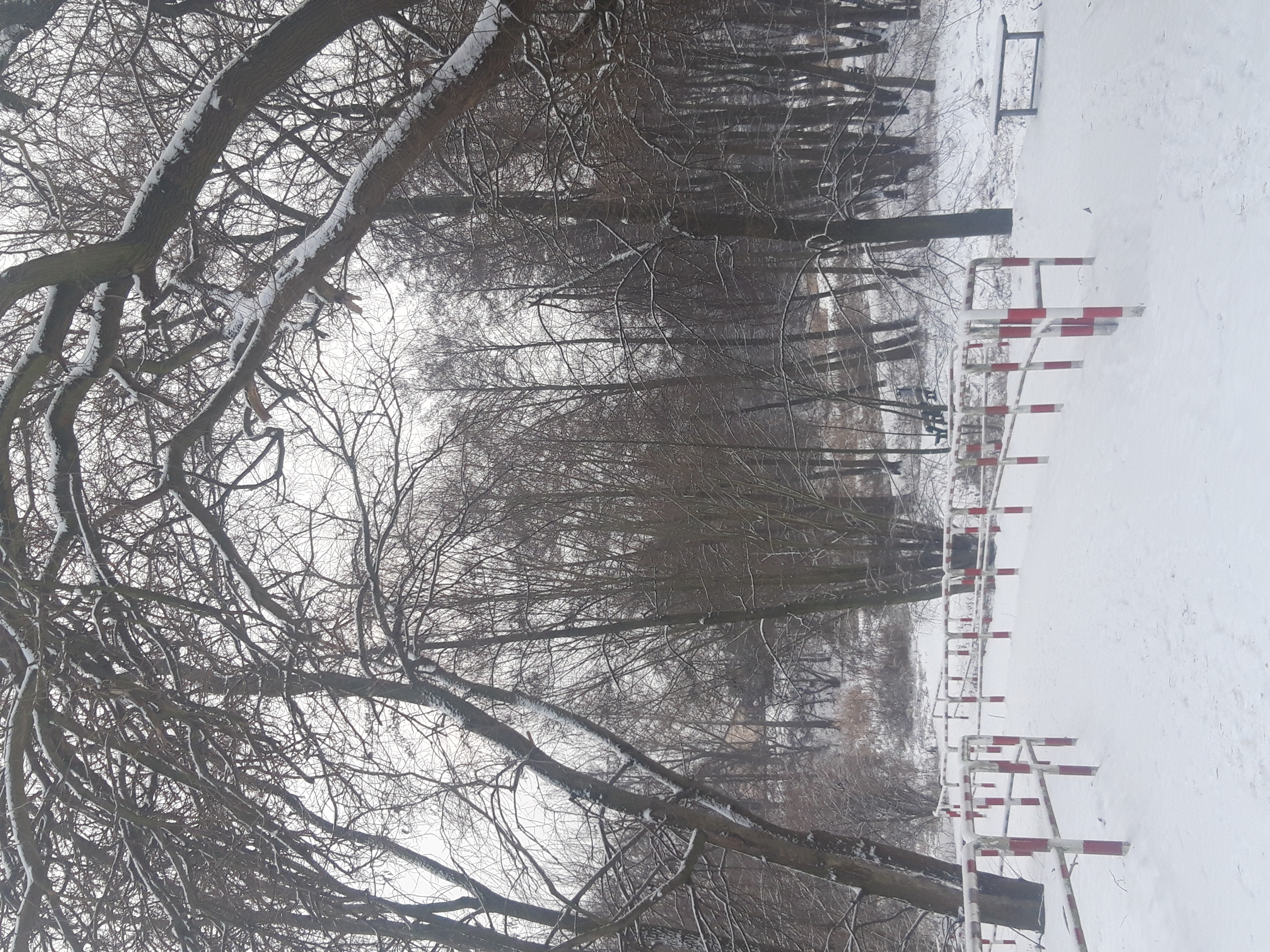 Pod śnieżną puchową pierzynką