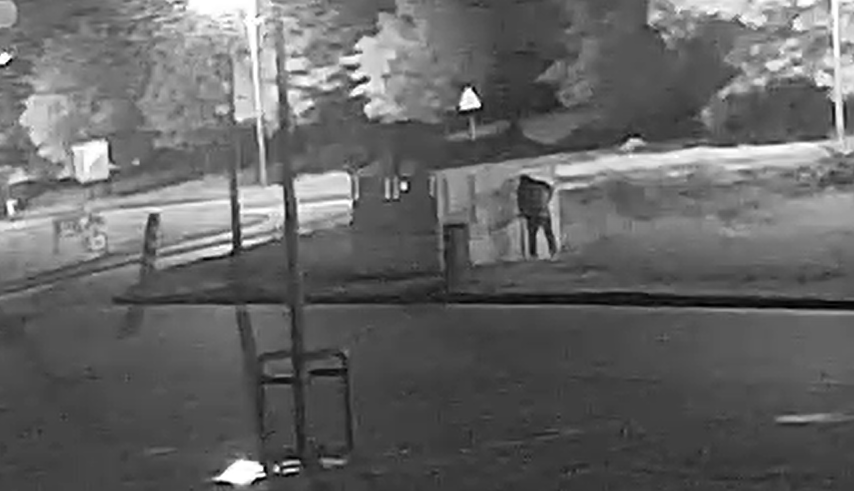 Jest zarzut po zniszczeniu stoiska z truskawkami w Luboniu. Policja wytypowała podejrzanego
