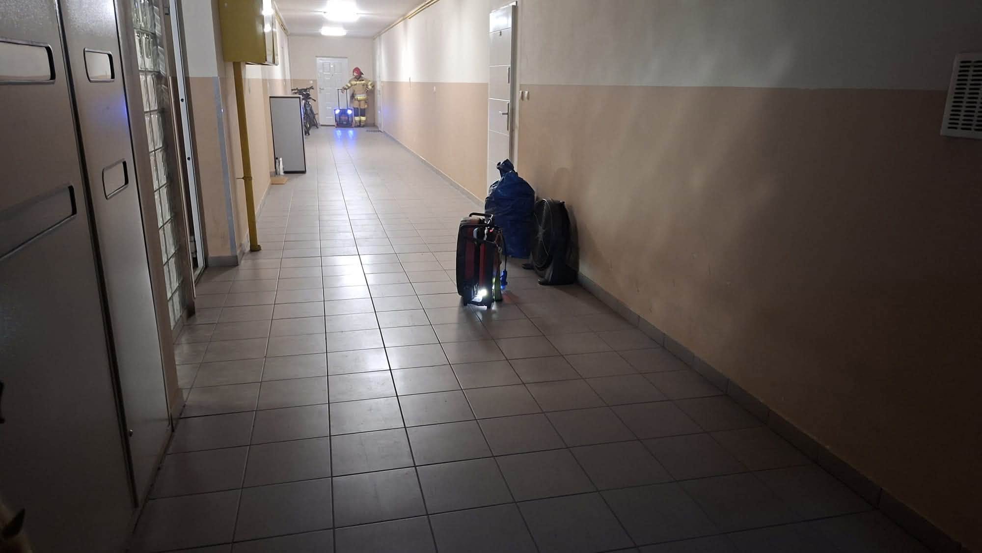 Pożar mieszkania w Luboniu. Ewakuowano 13 osób